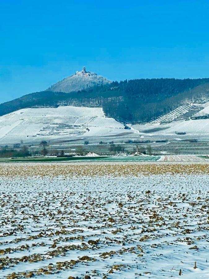 Gite Spa La Grange Kintzheim Dış mekan fotoğraf